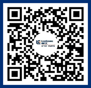 BG大游·(集团)视讯官方网站