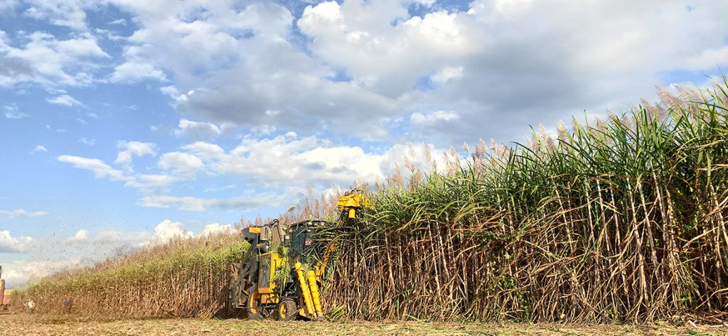 BG大游·(集团)视讯官方网站