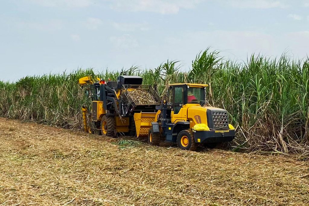 BG大游·(集团)视讯官方网站