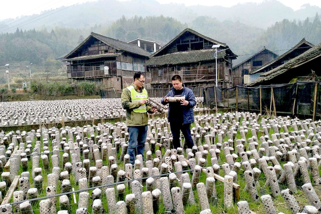 BG大游·(集团)视讯官方网站