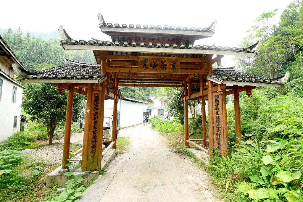 BG大游·(集团)视讯官方网站