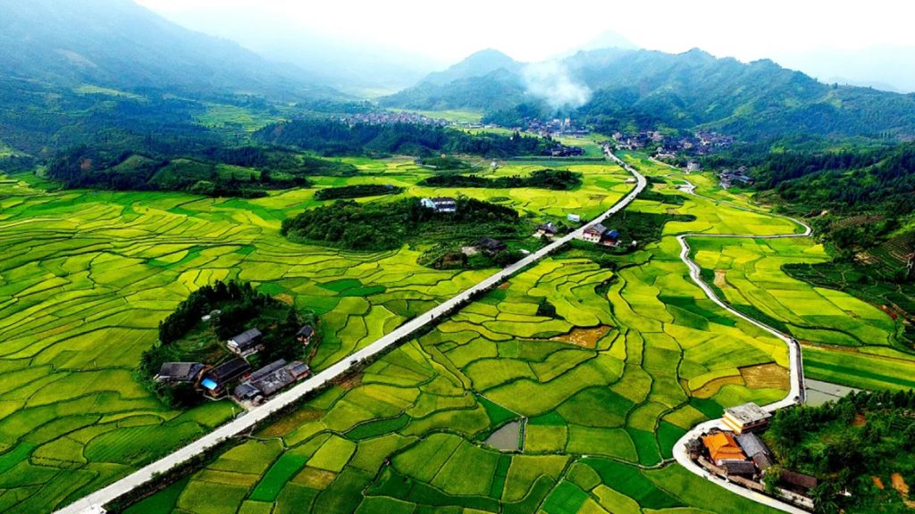 BG大游·(集团)视讯官方网站