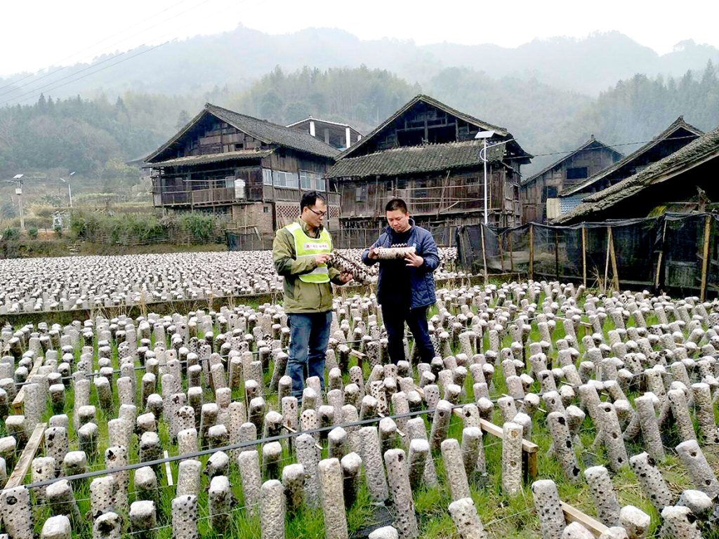 BG大游·(集团)视讯官方网站