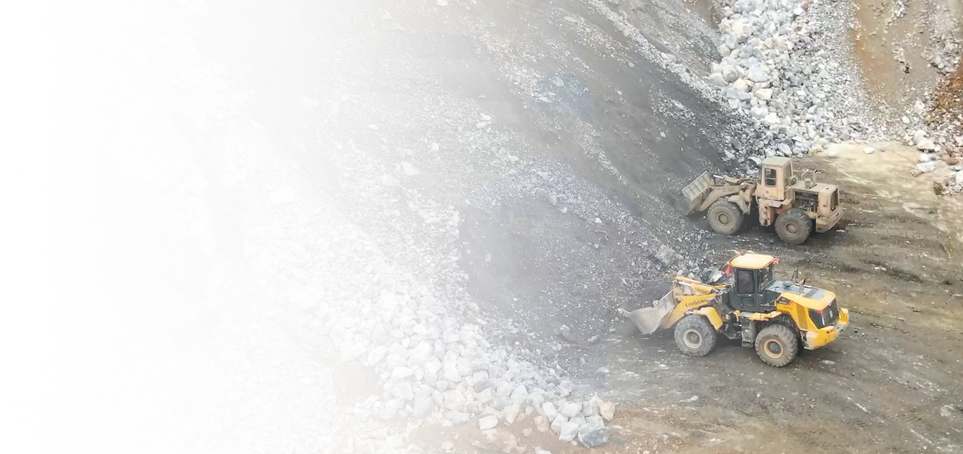 BG大游·(集团)视讯官方网站