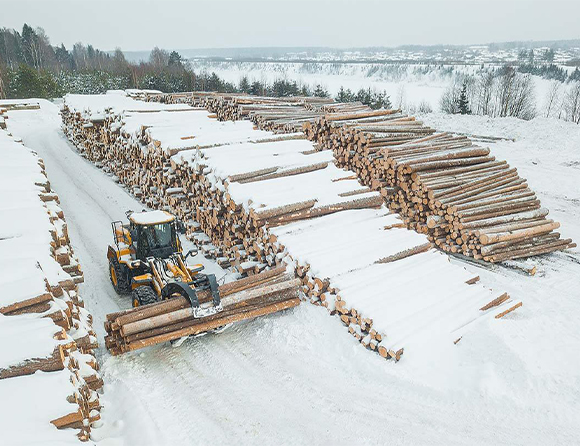 BG大游·(集团)视讯官方网站