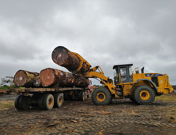 BG大游·(集团)视讯官方网站