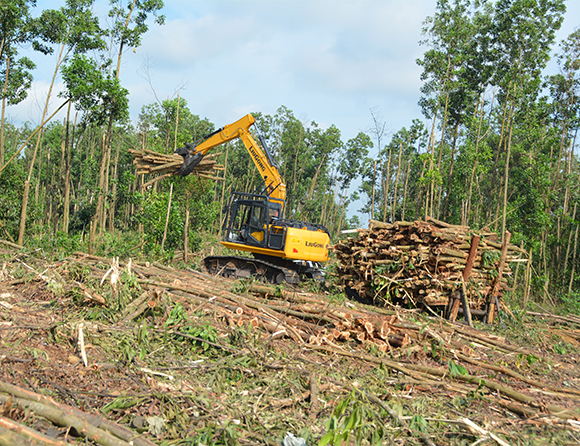 BG大游·(集团)视讯官方网站