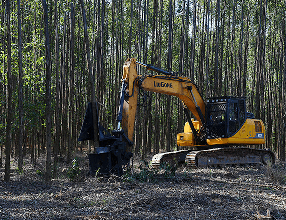 BG大游·(集团)视讯官方网站