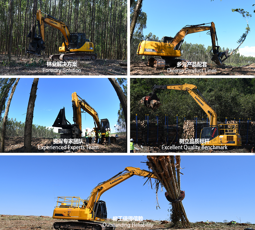 BG大游·(集团)视讯官方网站