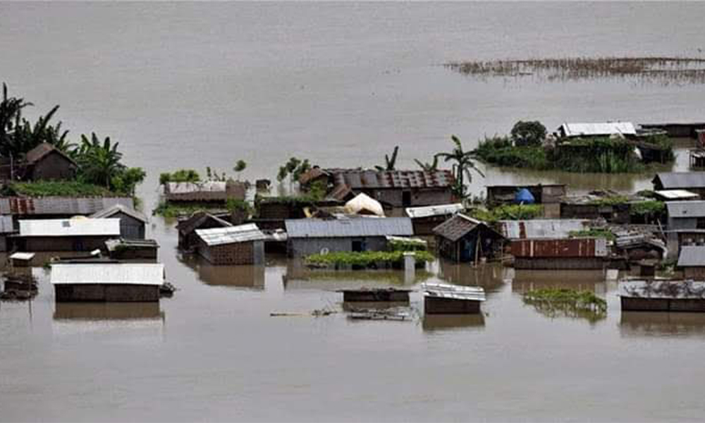 BG大游·(集团)视讯官方网站