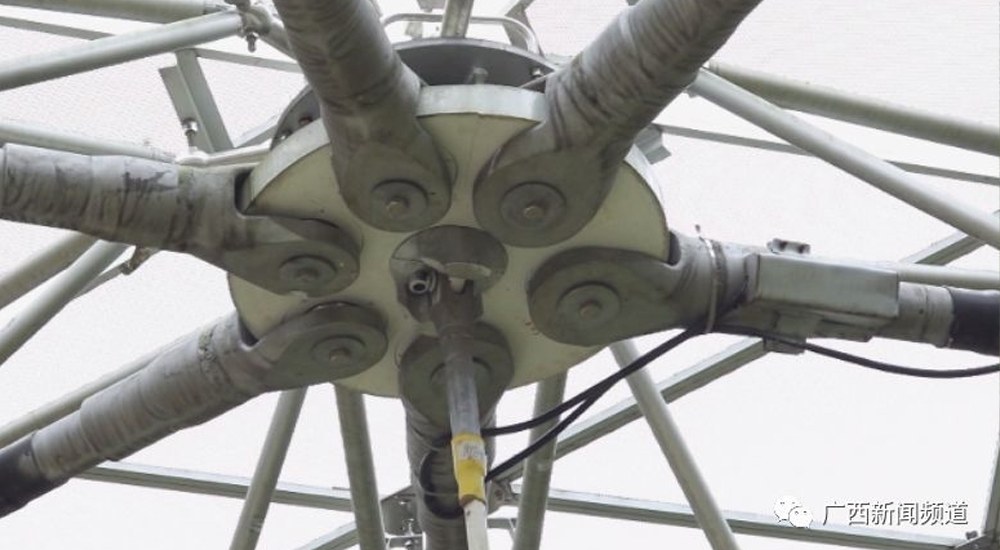 BG大游·(集团)视讯官方网站