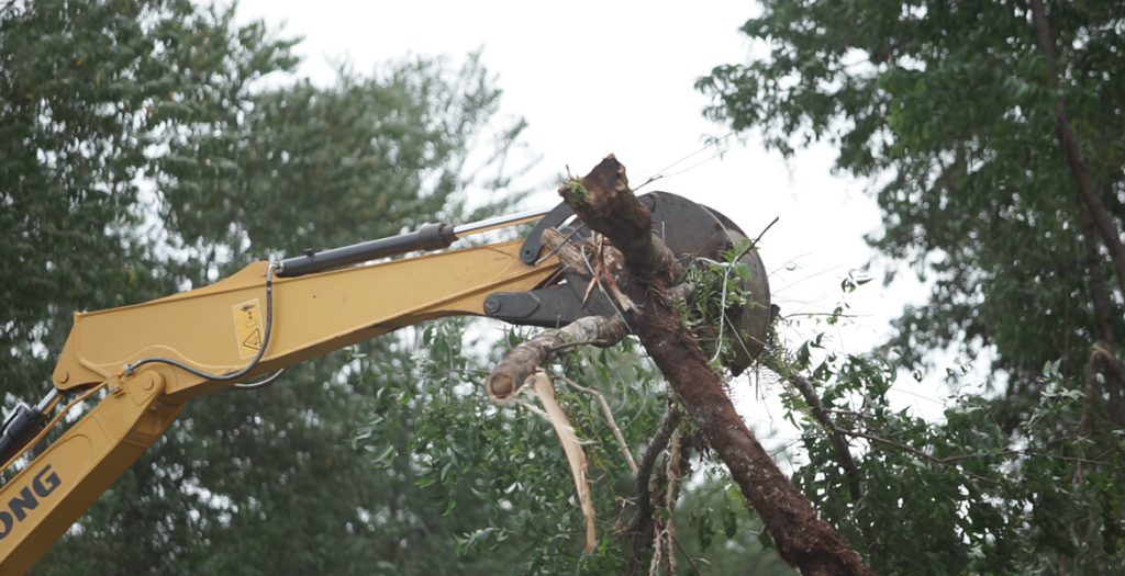 BG大游·(集团)视讯官方网站