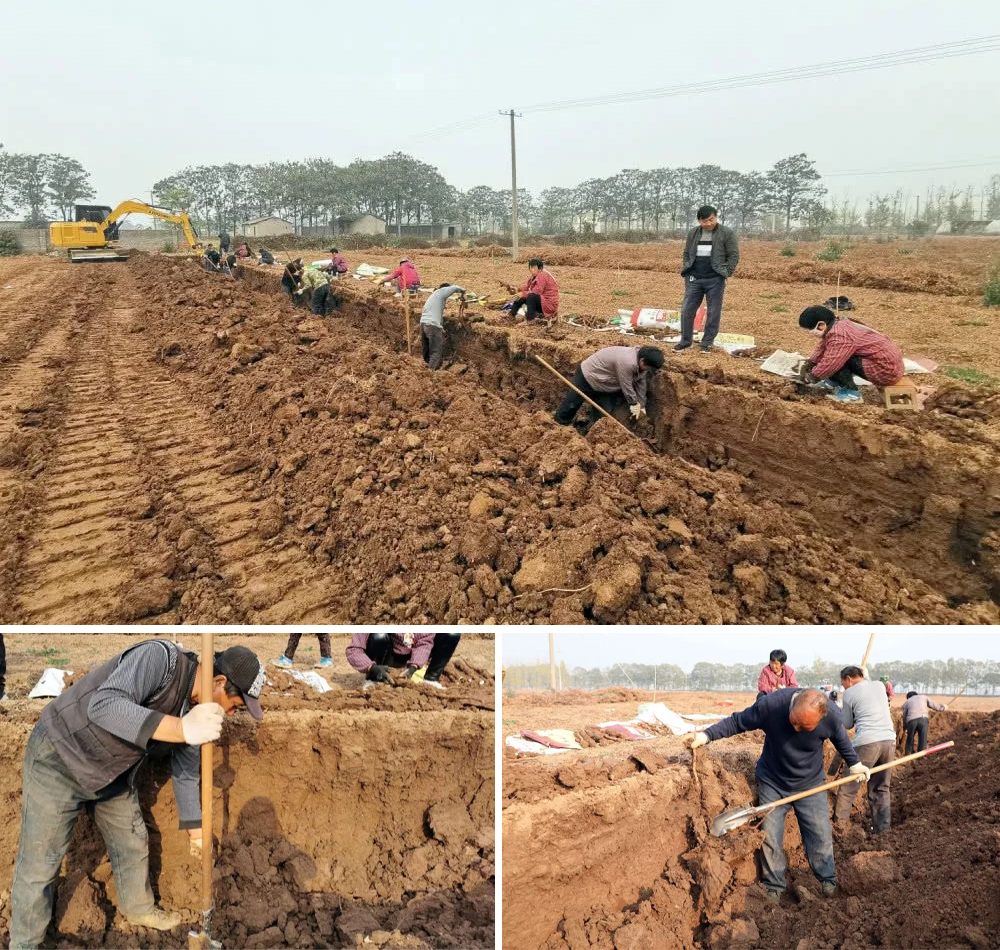 BG大游·(集团)视讯官方网站