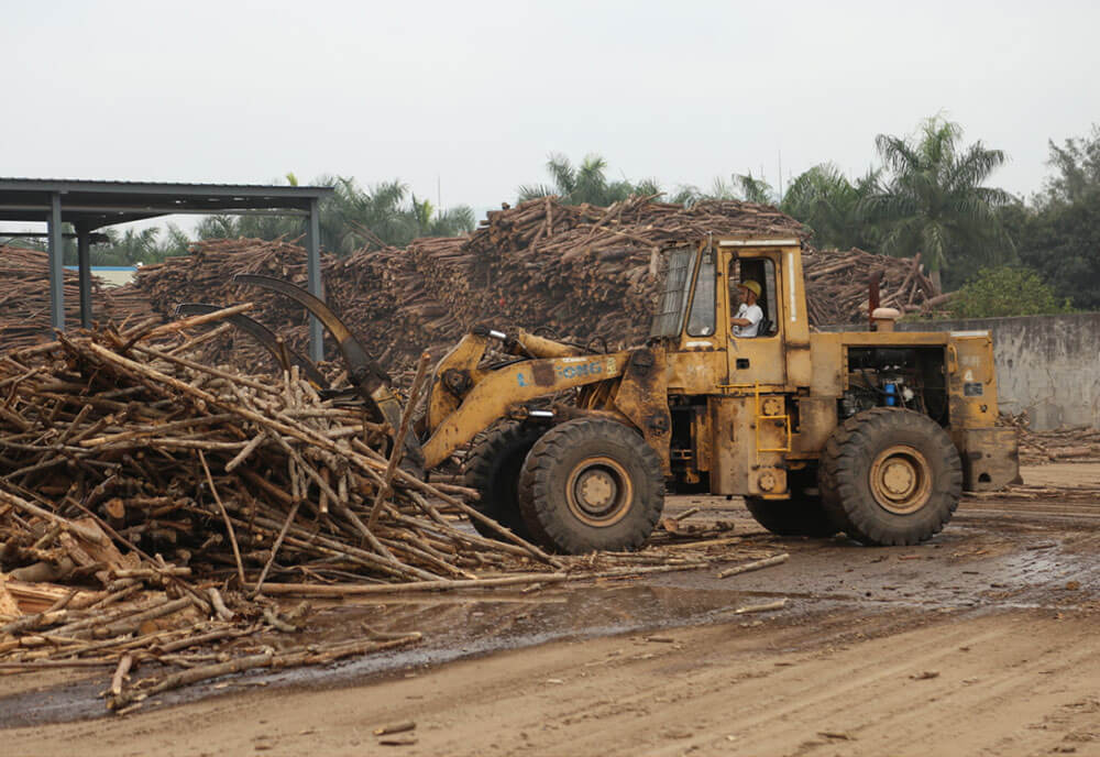 BG大游·(集团)视讯官方网站