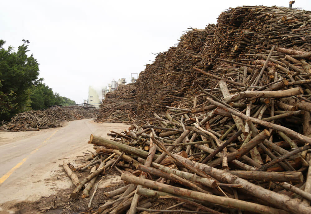 BG大游·(集团)视讯官方网站
