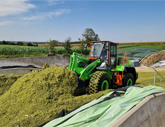 BG大游·(集团)视讯官方网站