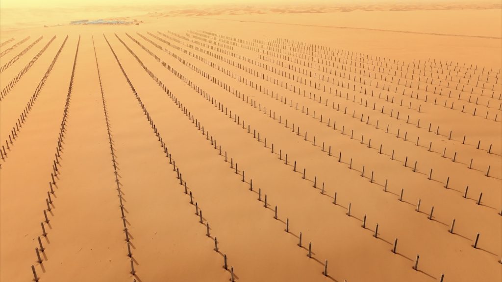 BG大游·(集团)视讯官方网站