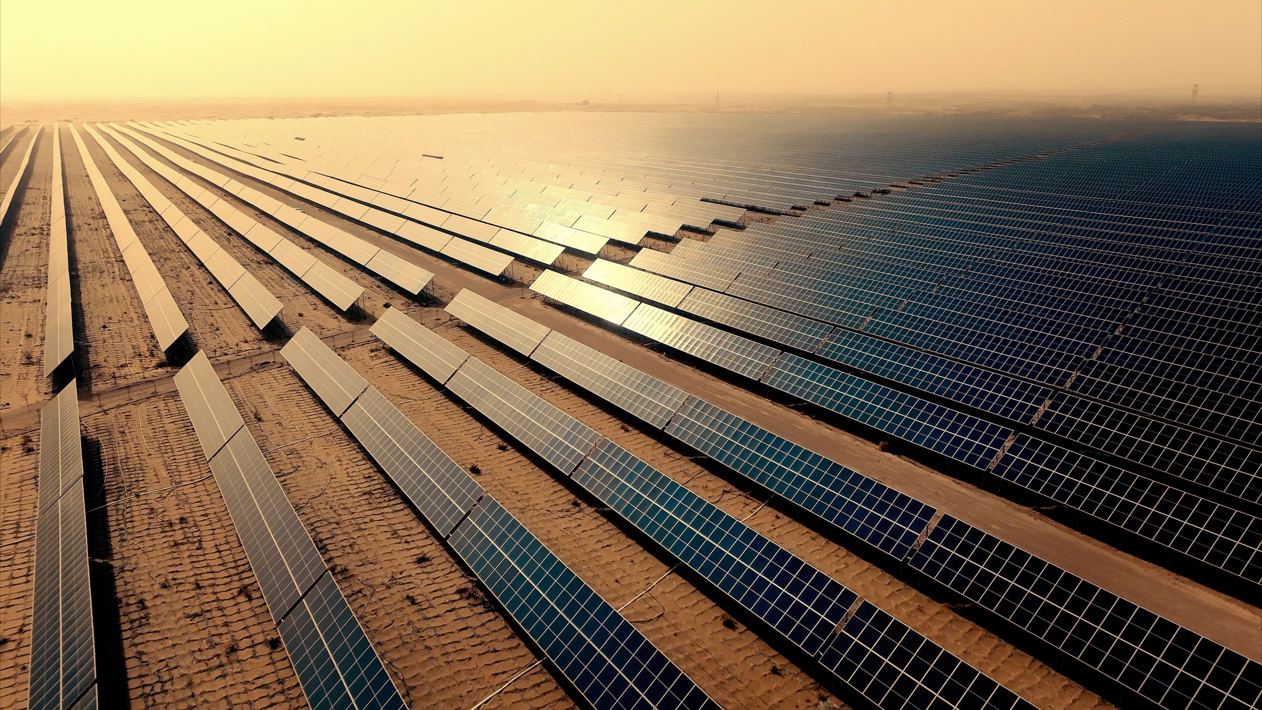 BG大游·(集团)视讯官方网站